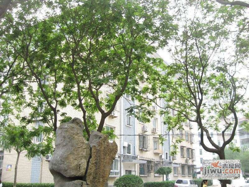 毛纺北小区实景图图片