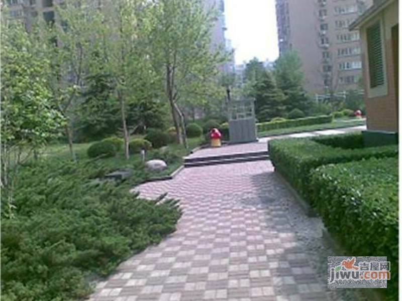 大柳树小区实景图图片