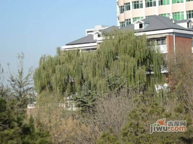 北洼小区实景图图片