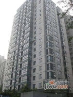 豪柏大厦实景图图片