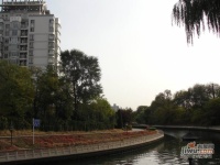 中海紫金苑实景图图片