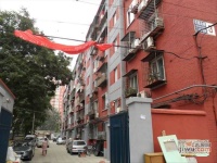 牡丹园乙28号院实景图图片