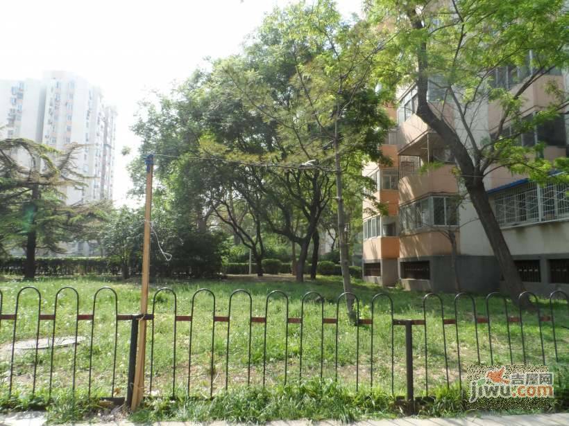 藤花紫院实景图图片