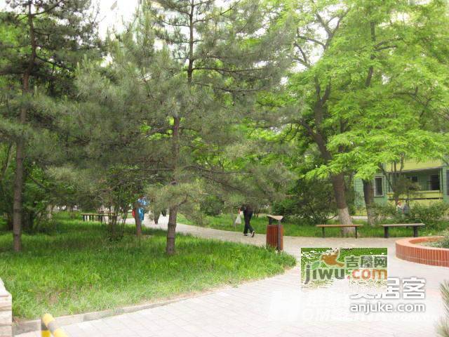 北京大学燕北园实景图图片