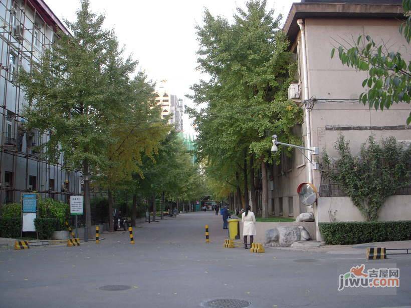 又一村实景图图片