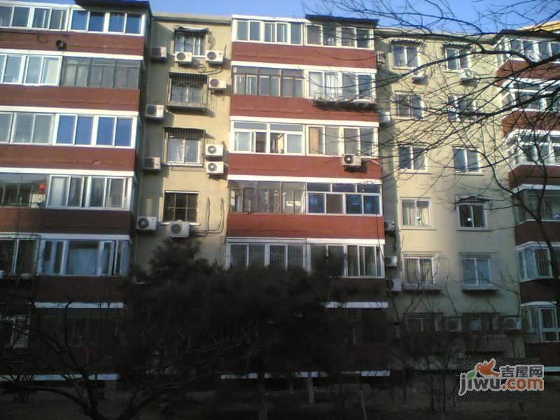 又一村实景图图片