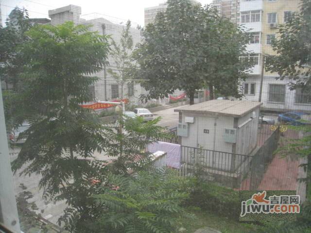 又一村实景图图片