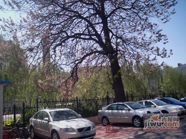 文慧16号院实景图图片