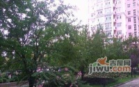 北京市钟表眼镜公司南院宿舍实景图图片