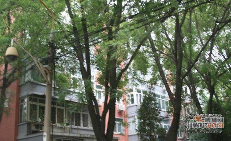 中关村北区实景图图片