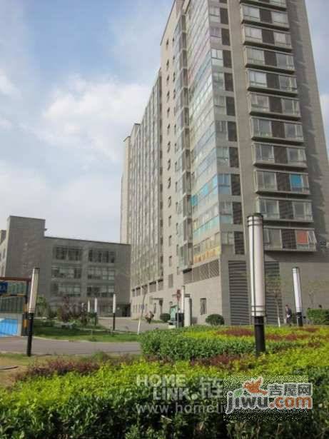 紫金数码实景图图片