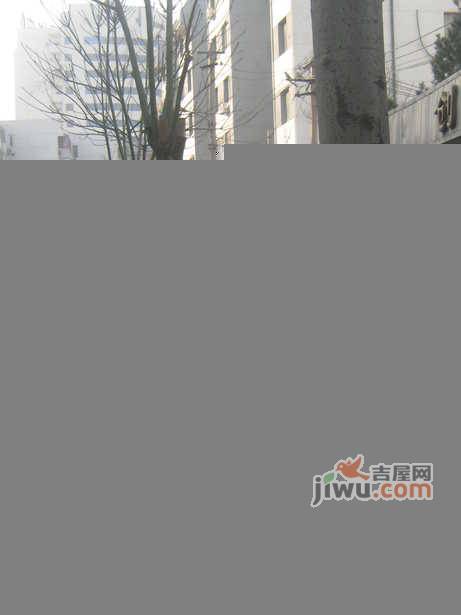 望园西里小区实景图图片