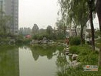 东高地实景图图片