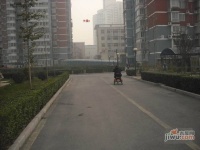 永善里小区实景图图片