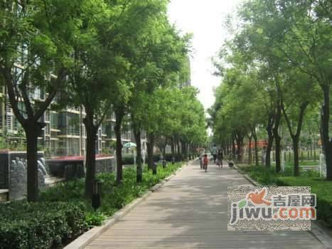 自然新天地实景图图片