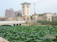 加州水郡实景图图片