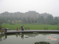 绿城百合桂雨苑实景图图片