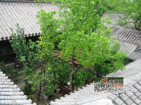 东四五条实景图图片