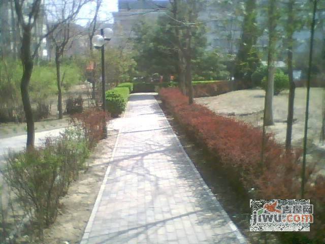 大龙公寓实景图图片