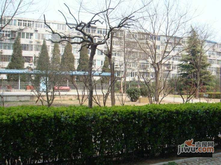 大龙公寓实景图图片