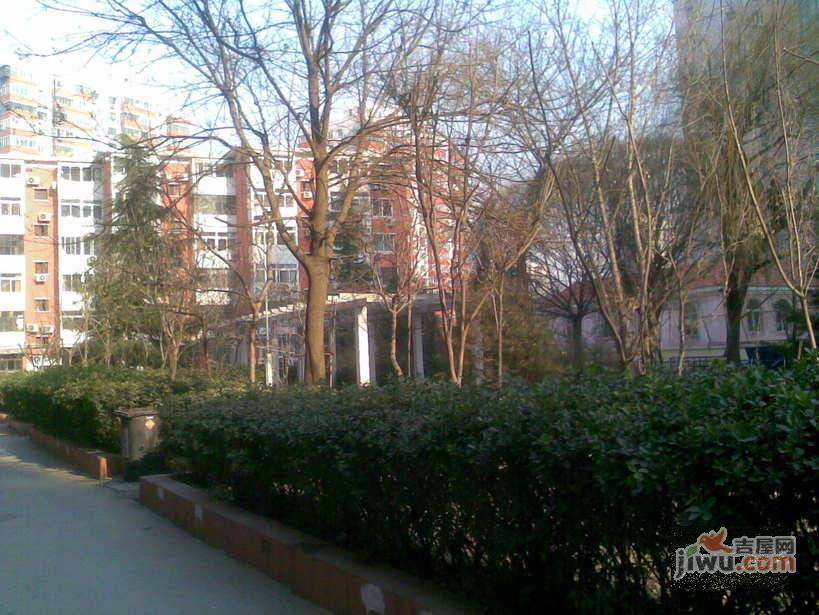 交林小区实景图图片
