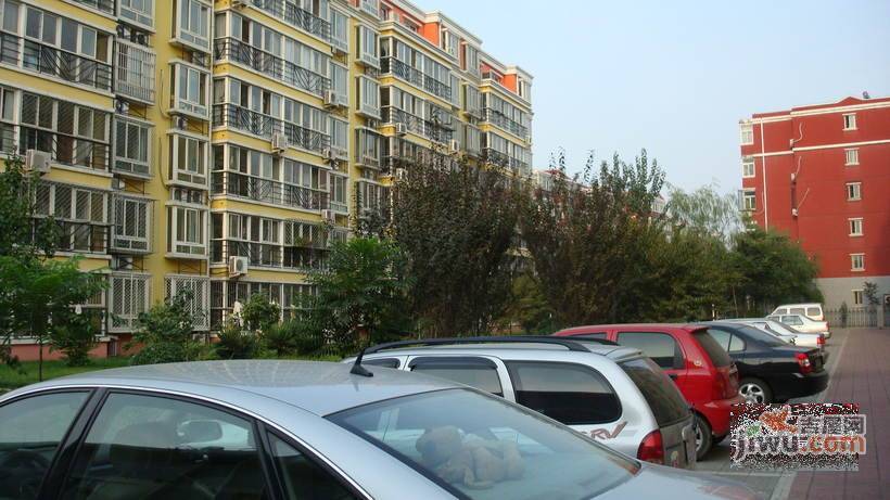 大东公社实景图图片