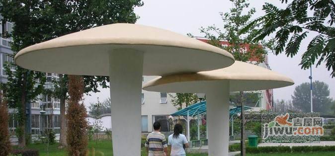 大东公社实景图图片