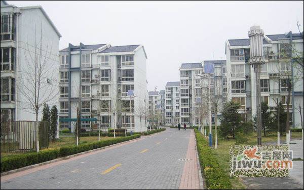大东公社实景图图片