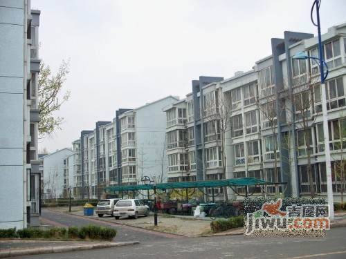 大东公社实景图图片