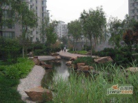 上海沙龙三期实景图图片