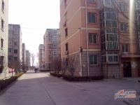 新凤小区实景图7