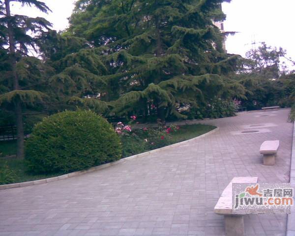 东河沿小区实景图图片