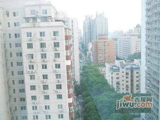 华源之星实景图图片