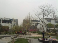 扬州水乡实景图图片