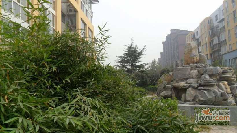 柏阳景园A区实景图图片