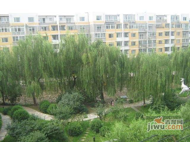 柏阳景园A区实景图图片