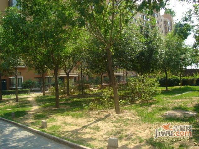 柏阳景园A区实景图图片