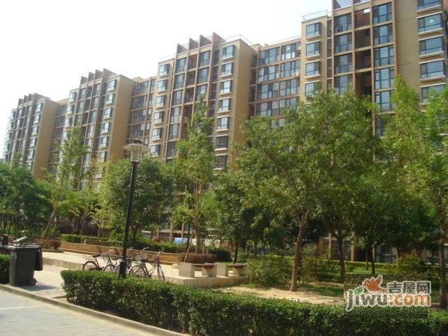 柏阳景园A区实景图图片