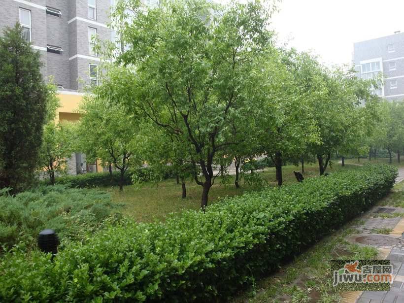 柏阳景园A区实景图图片
