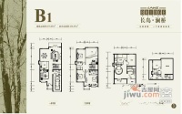 长岛澜桥4室2厅4卫636㎡户型图