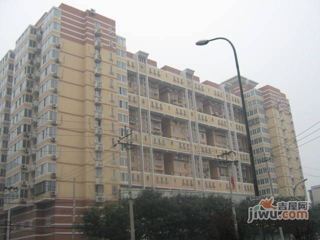 旭风苑实景图图片