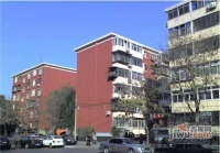 东架松