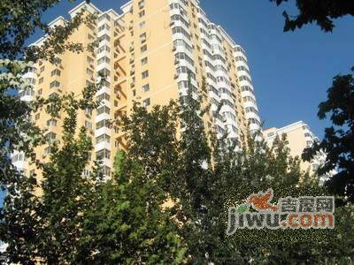 北沙滩8号院实景图图片