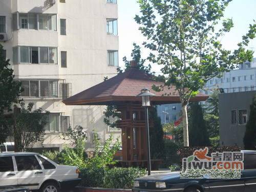 北沙滩8号院实景图图片