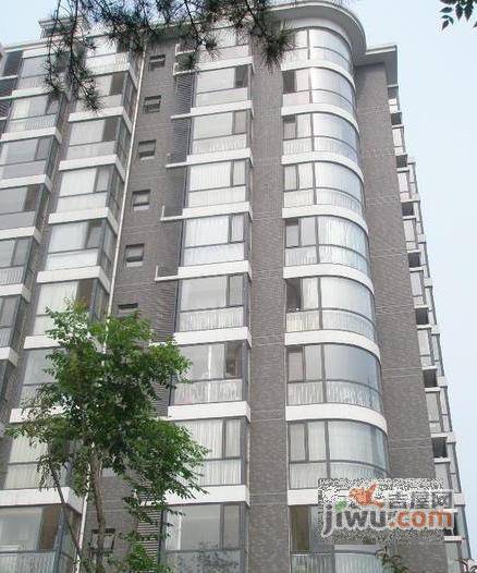 北沙滩8号院实景图图片