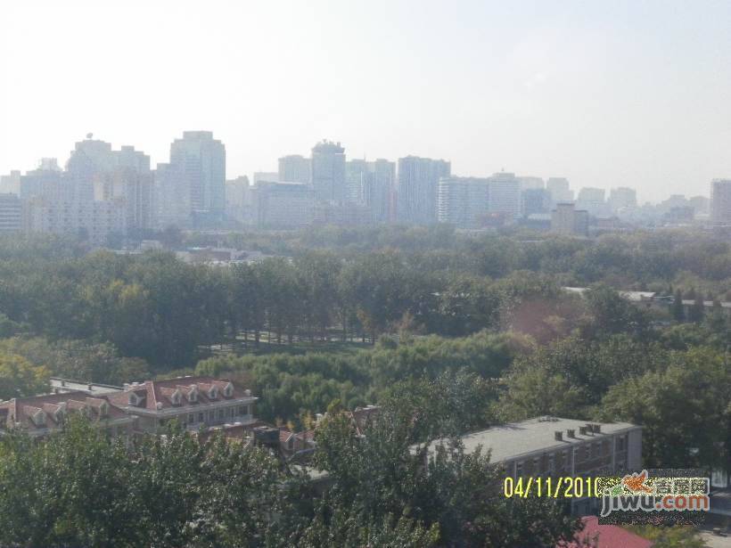 枣营西里实景图图片