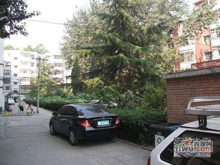 枣营西里实景图图片