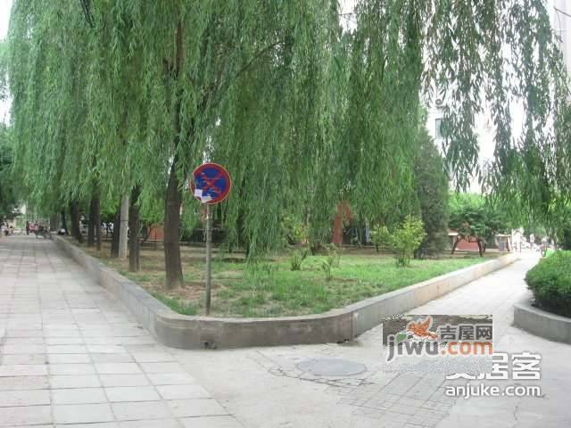 枣营西里实景图图片