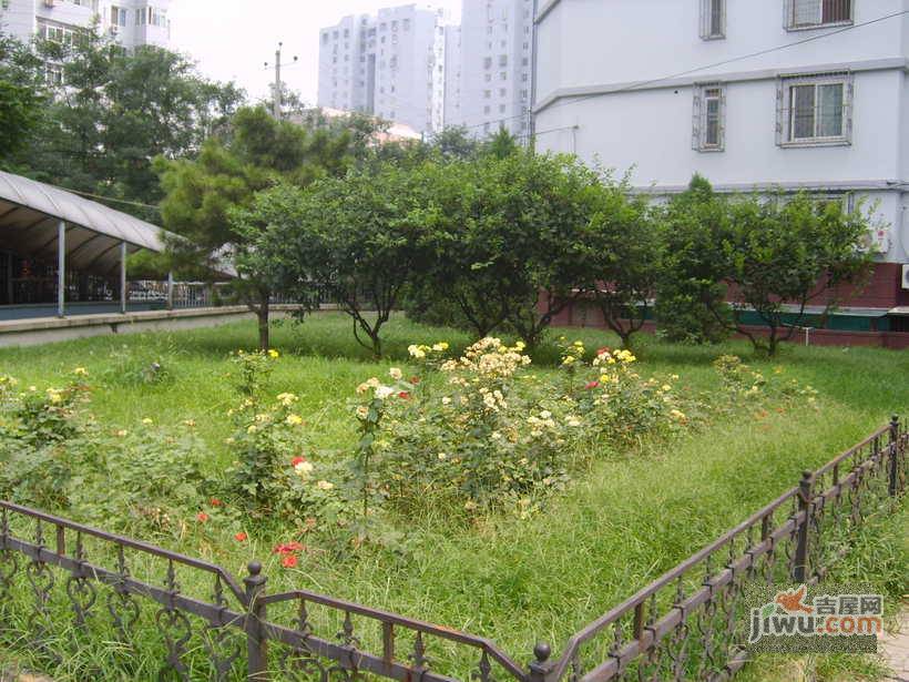 慧忠里小区实景图图片