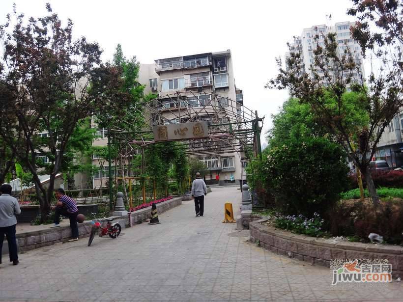 南湖中园小区实景图图片